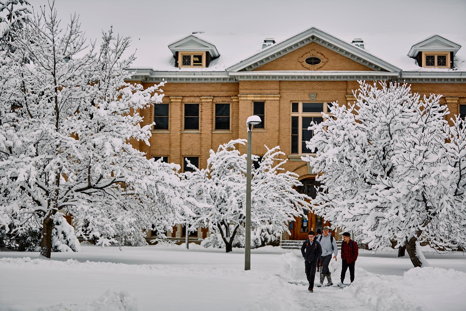 Montana State University Admission 2023, Ranking , Acceptance rate