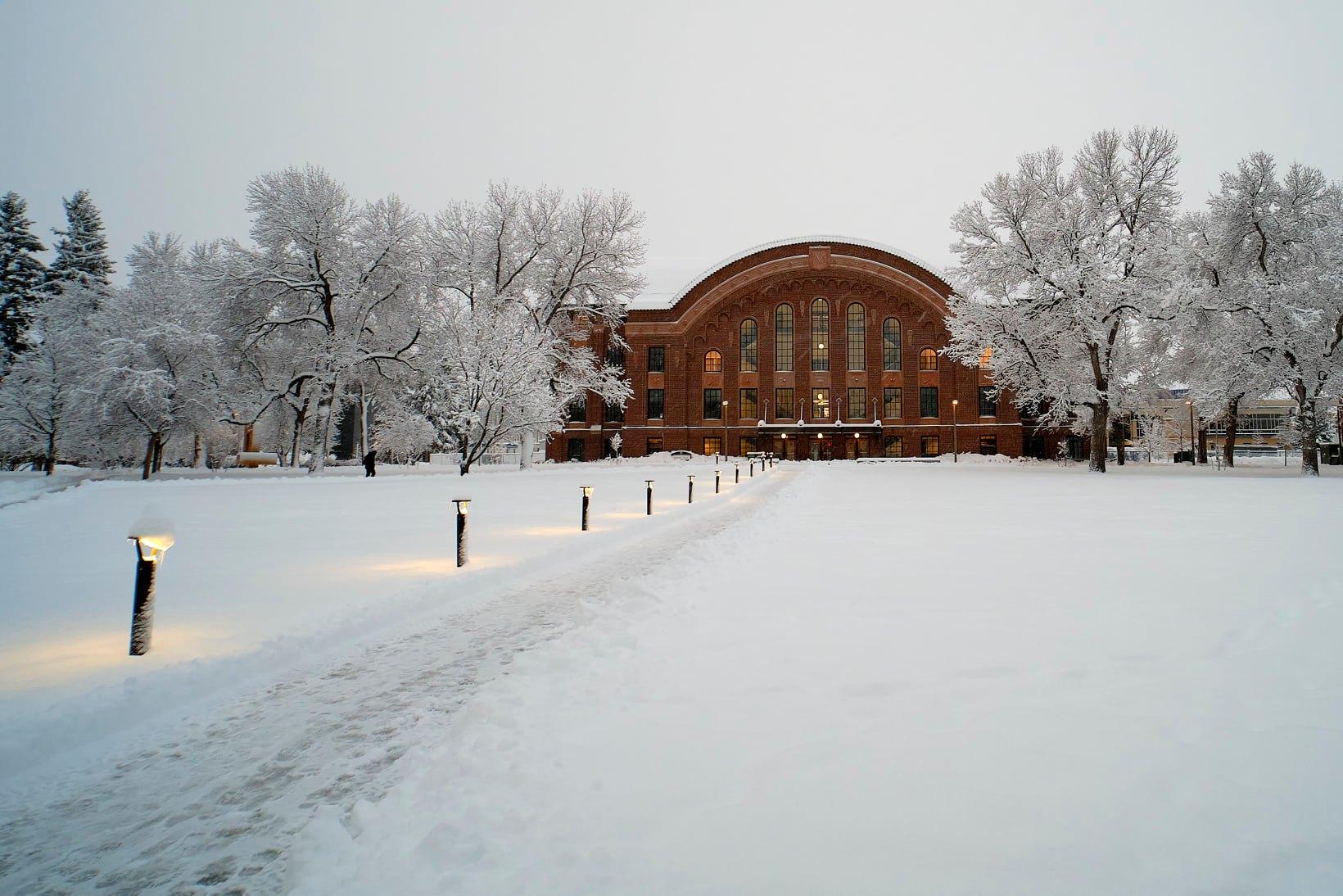 Montana State University Admission 2023, Ranking , Acceptance rate