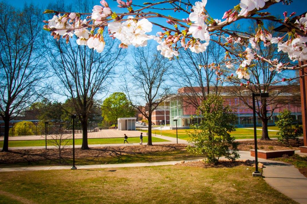 Clemson University Admission 2023, Ranking , Acceptance rate, Fees