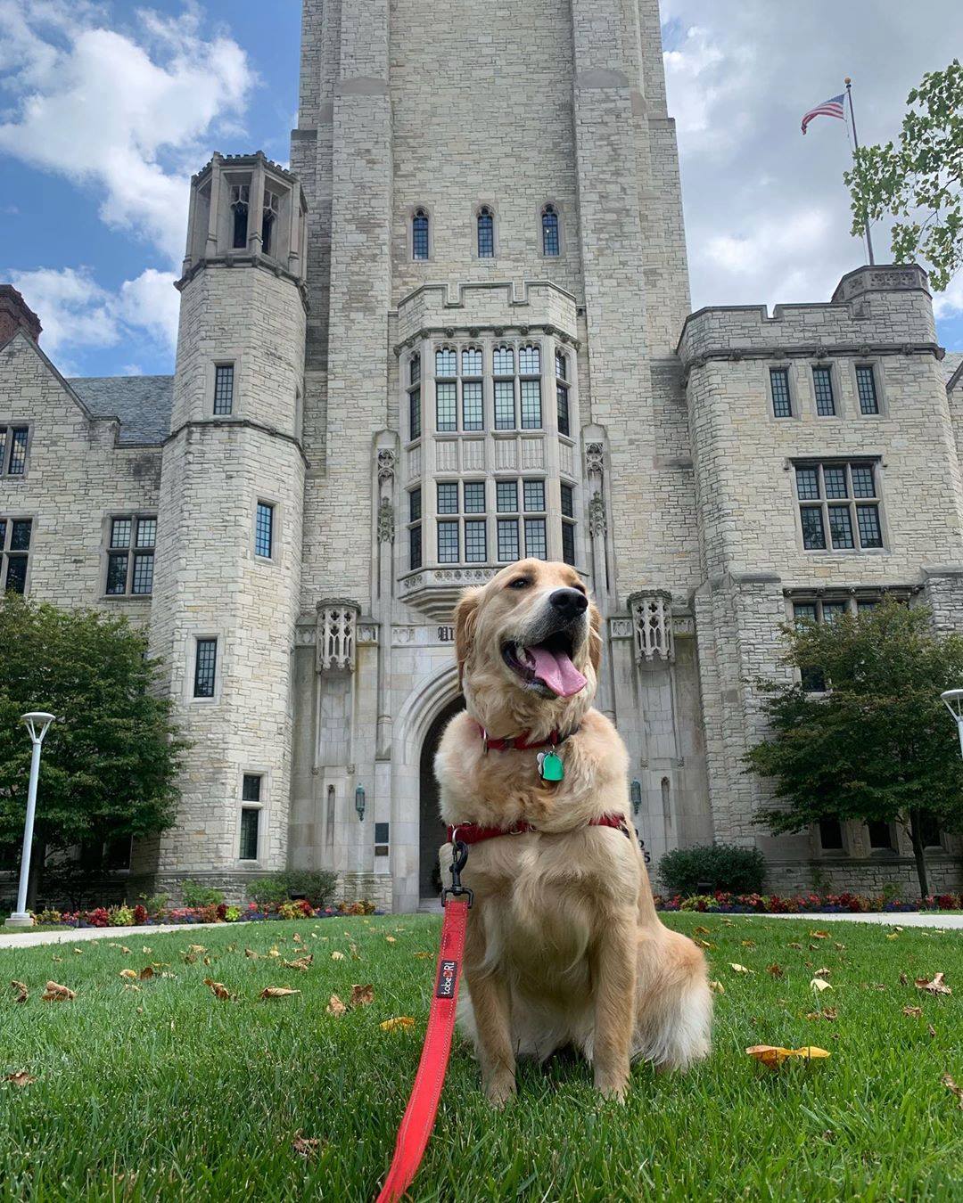 The University of Toledo : Admission 2024 Ranking Acceptance rate