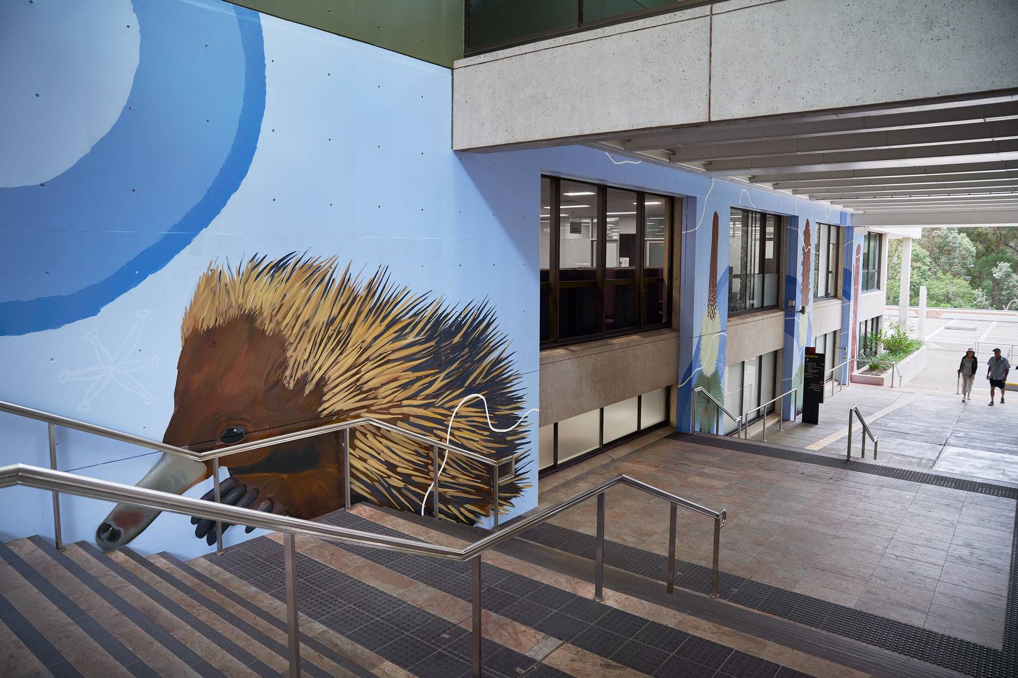 Griffith University Admission, Ranking, Acceptance Rate, Courses & Fees