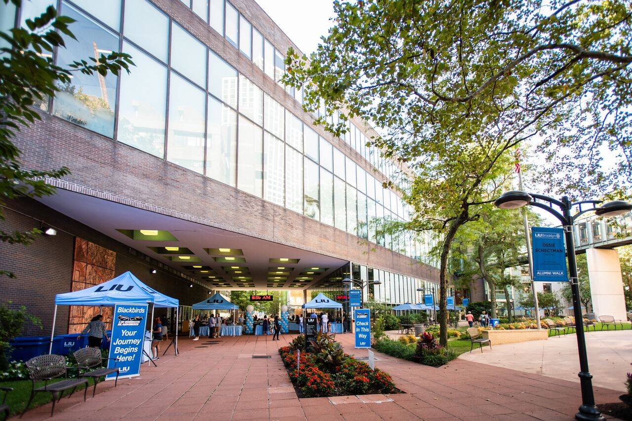 Brooklyn (Long Island University) Admission 2023, Ranking Brooklyn (Long Island University) Admission 2023, Ranking
