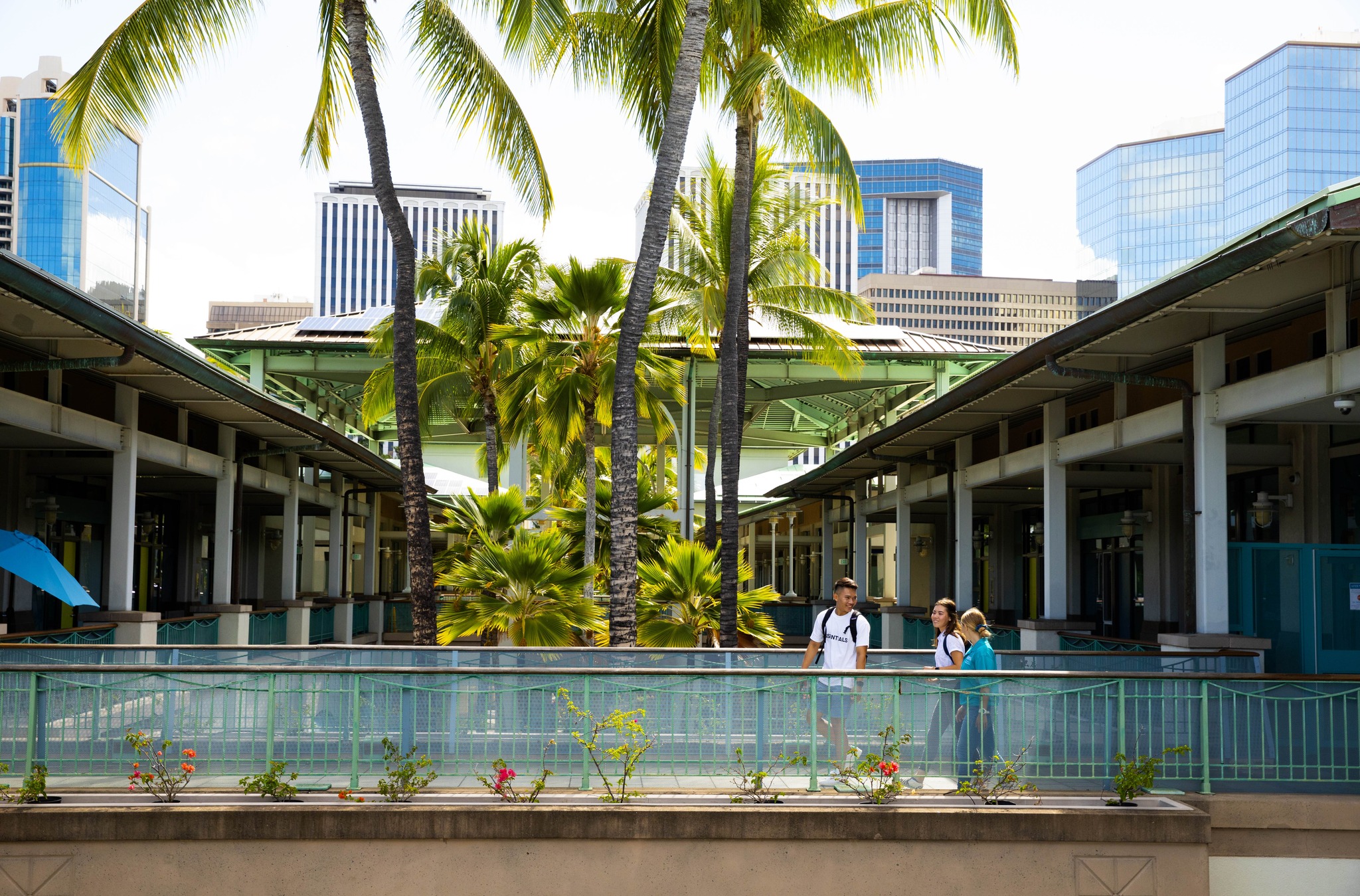 Hawaii Pacific University Admission 2023 Ranking Acceptance Rate hawaii-pacific-university-admission-2023-ranking-acceptance-rate