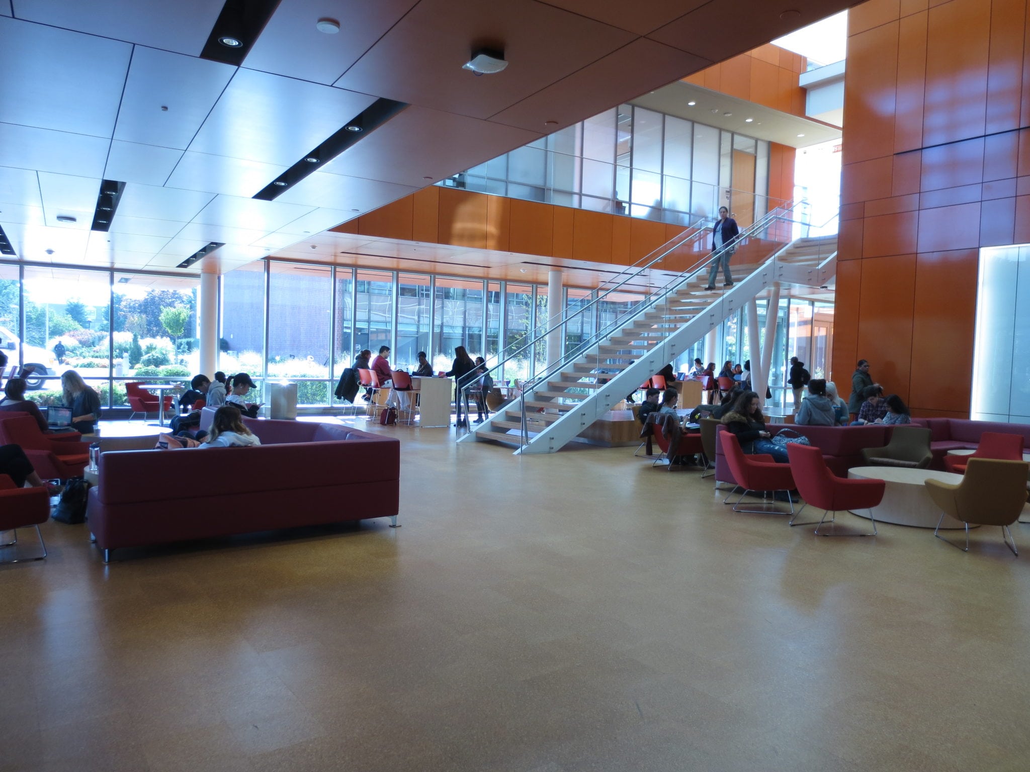 Adelphi University Admission 2023, Ranking , Acceptance rate, Fees