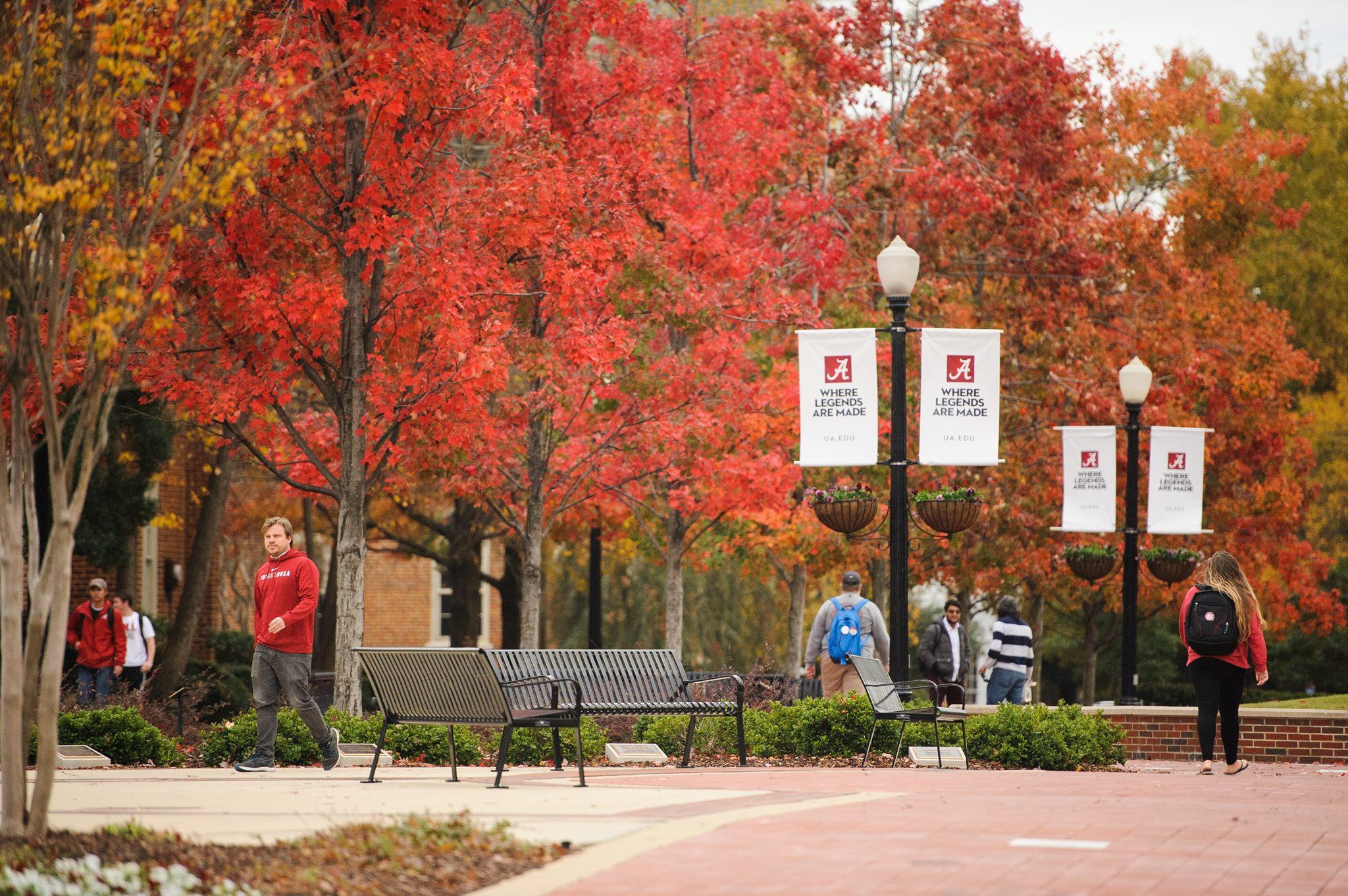 The University of Alabama Admission 2023, Ranking , Acceptance rate