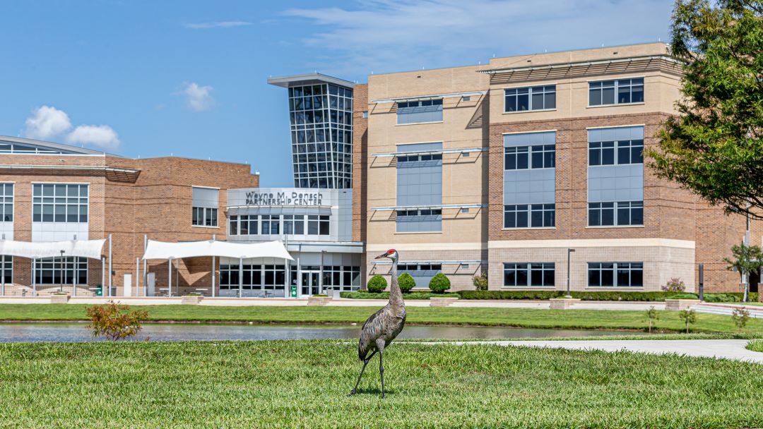 Seminole State College of Florida Admissions, Ranking, Acceptance Rate