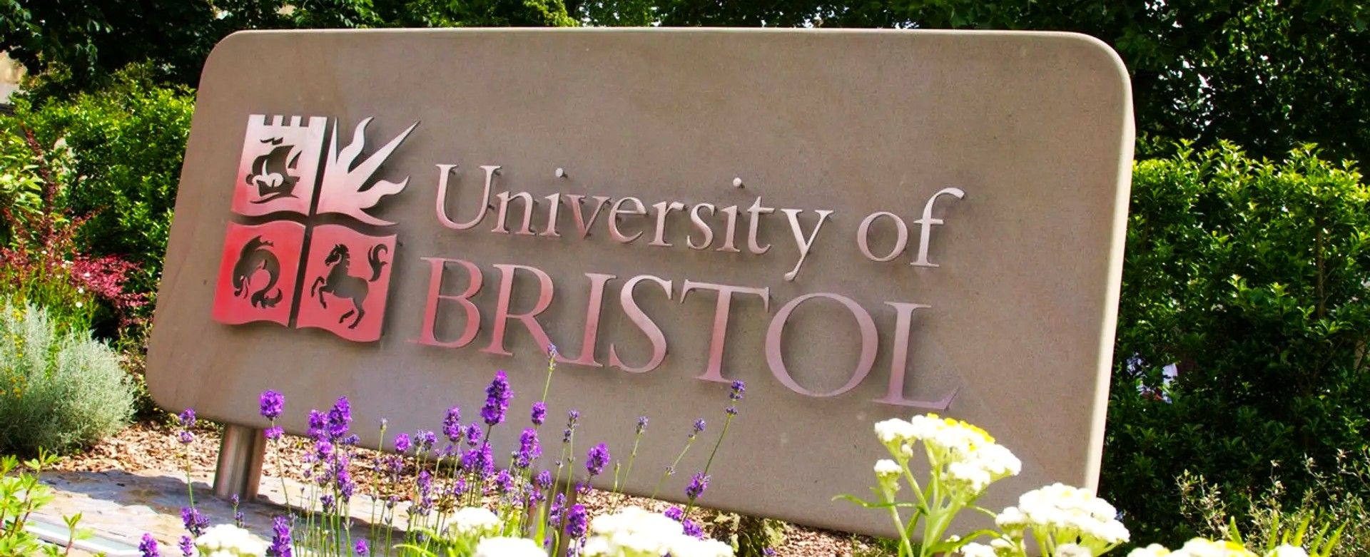University of Bristol University of Bristol