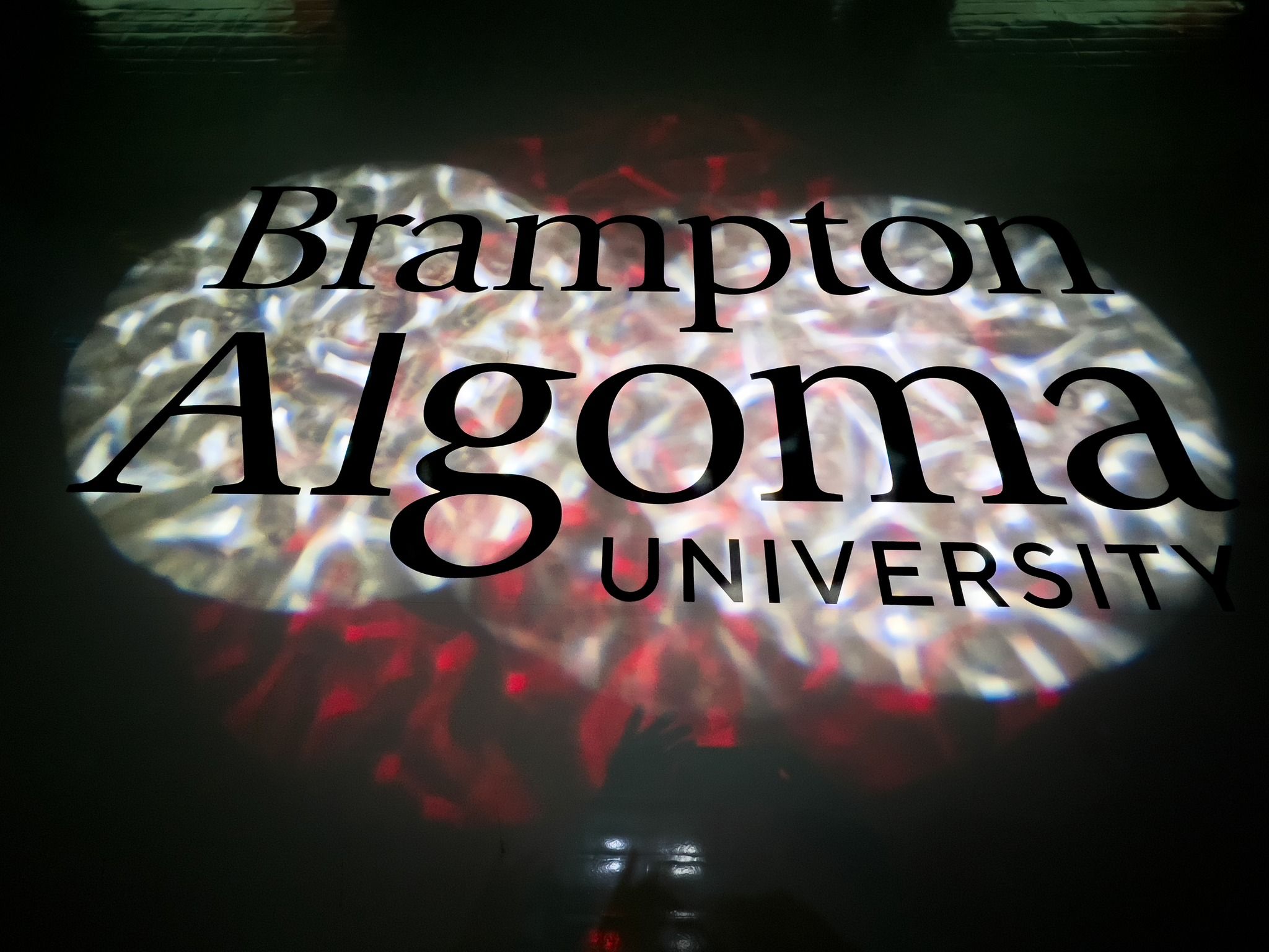 Algoma University