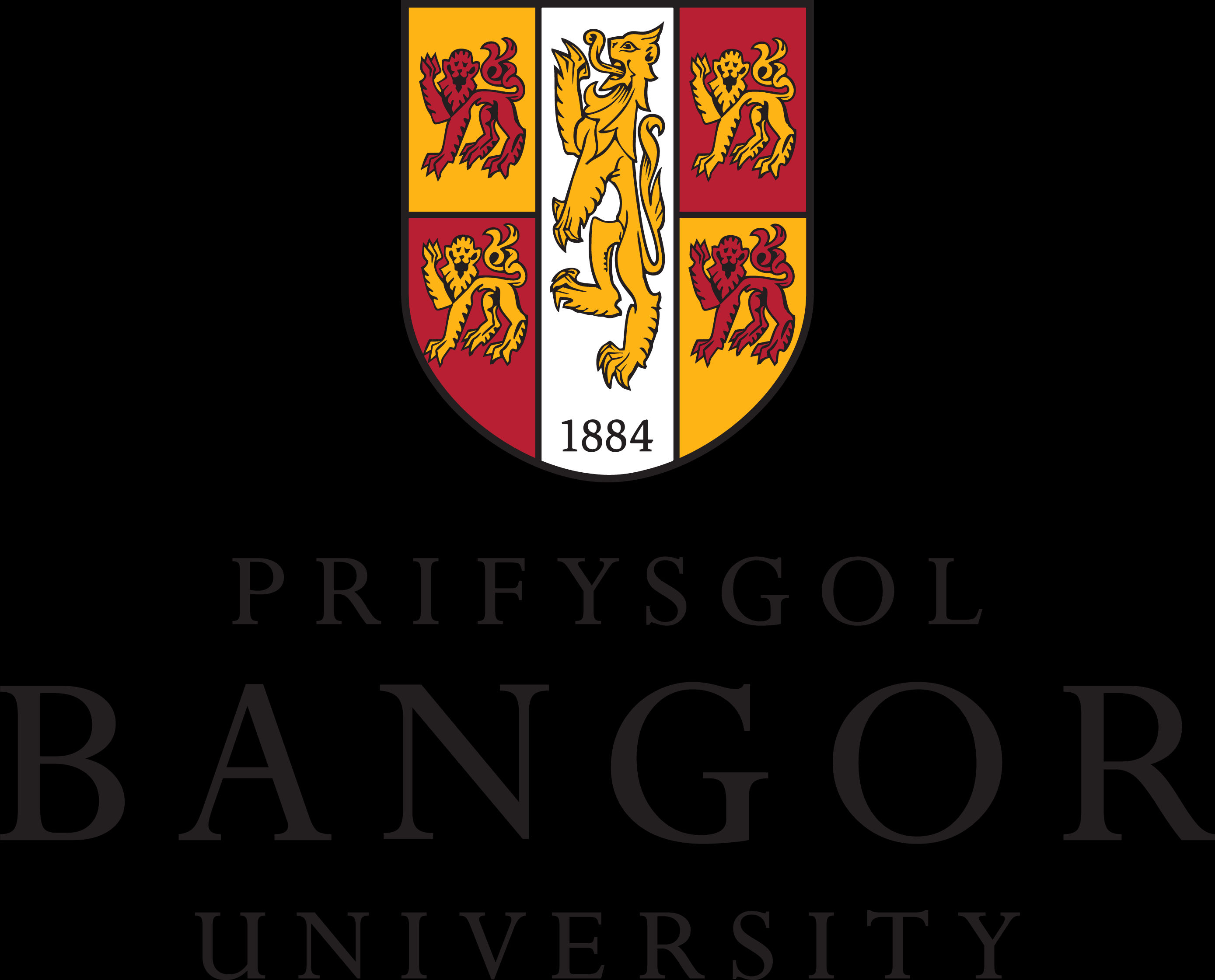 BEng Hons. in Computer Systems Engineering