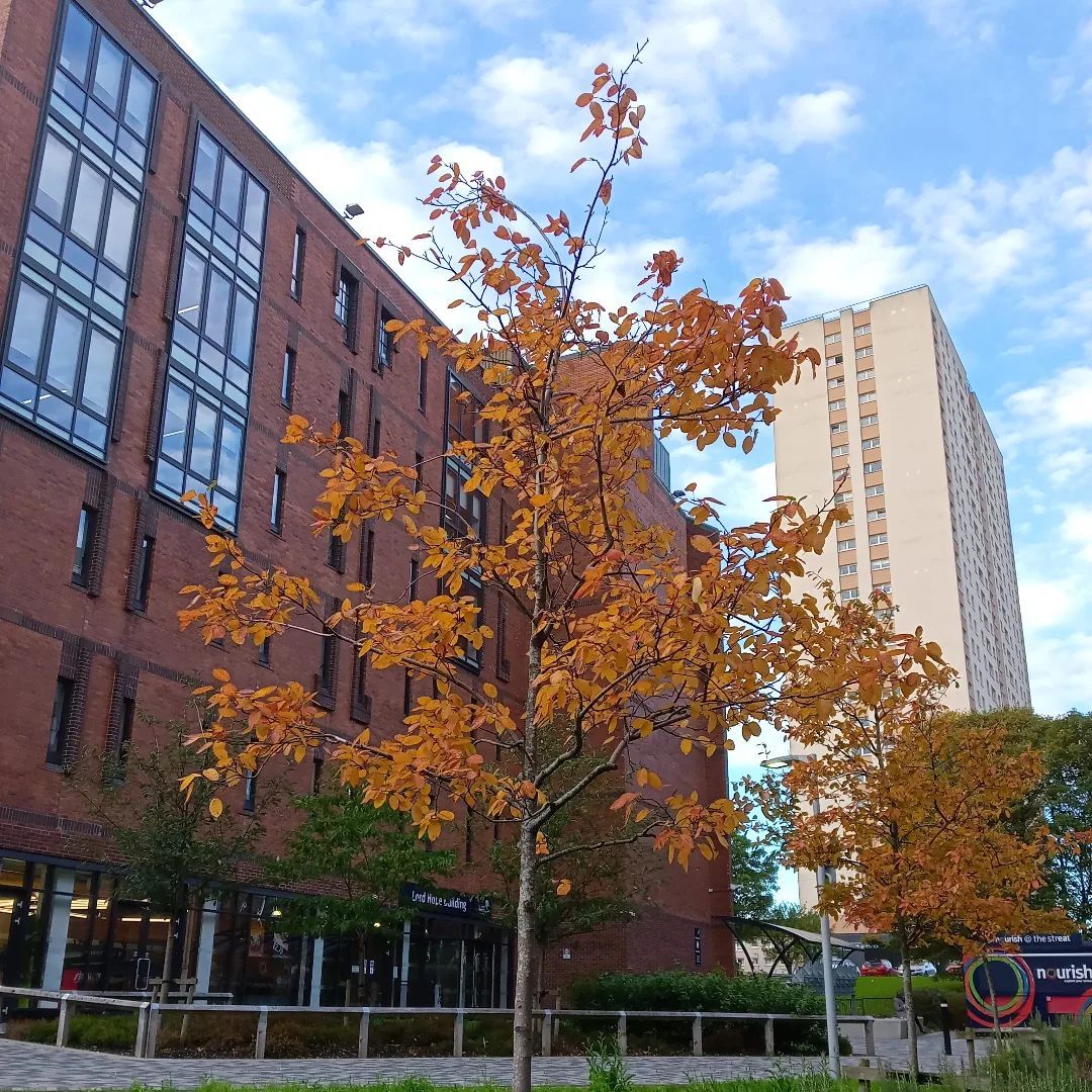 University Of Strathclyde Admission Ranking Acceptance Rate university-of-strathclyde-admission-ranking-acceptance-rate