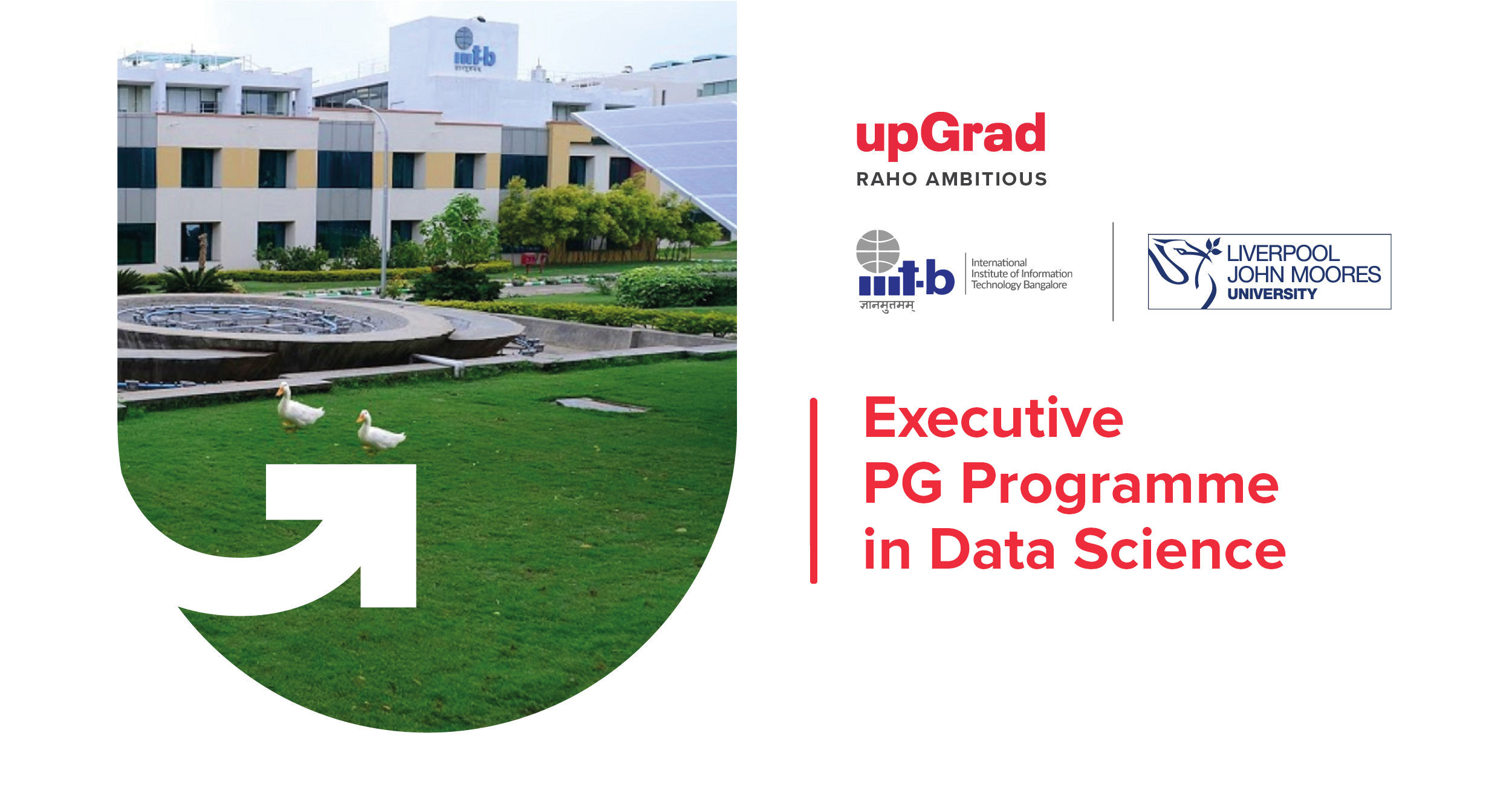 executive-pg-programme-in-data-science-upgrad-iiitb