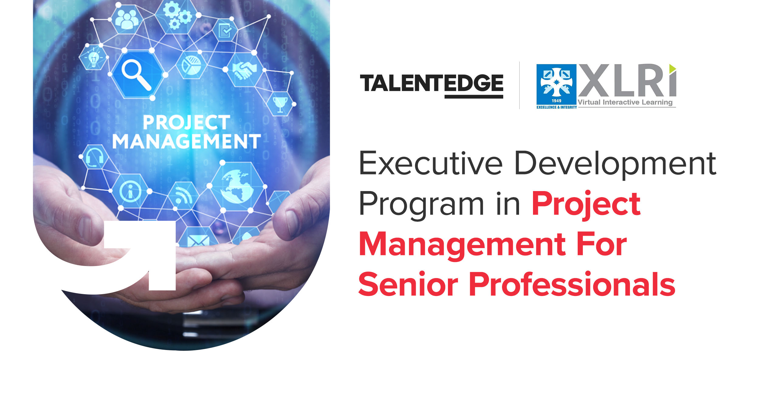 Executive development program in project management for senior professionals talentedge