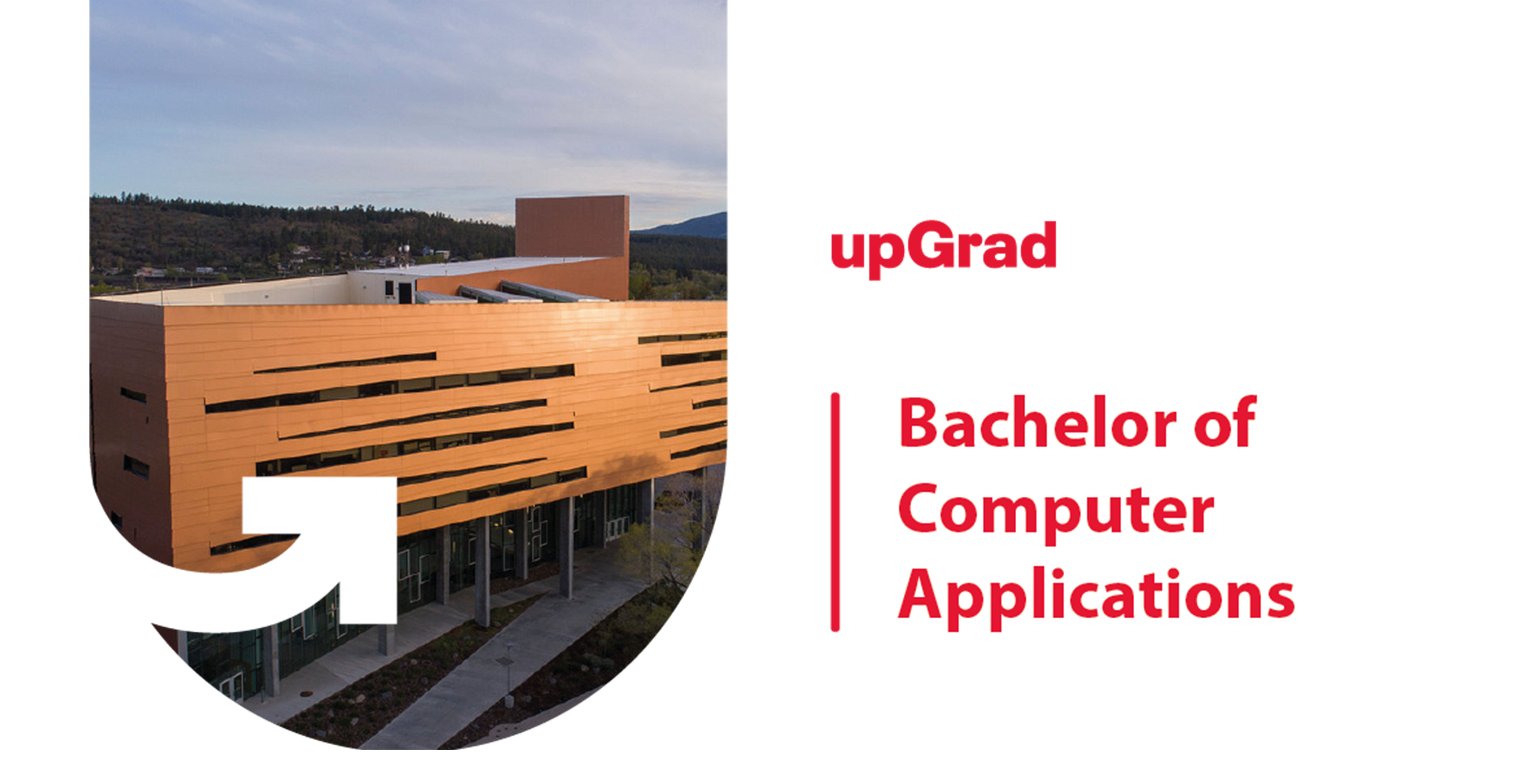 Bachelor in computer science degree in usa online on campus 