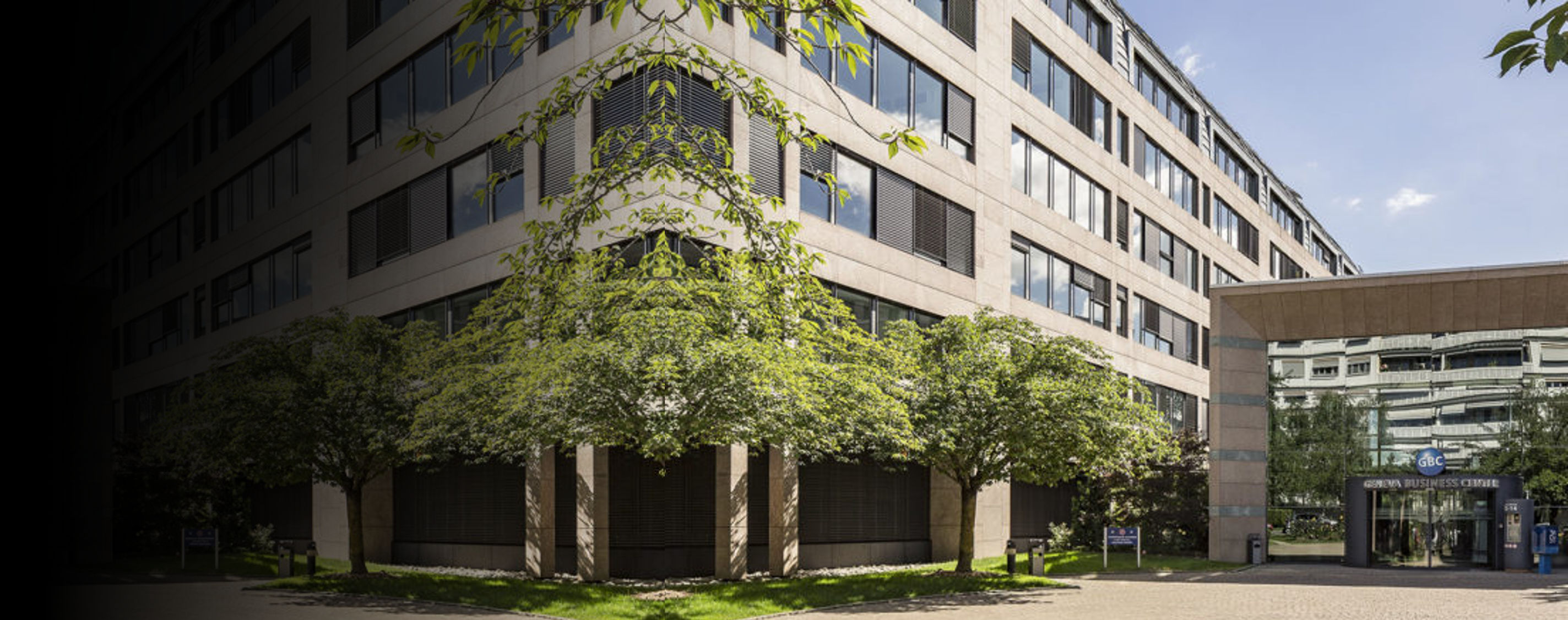 What is a project manager image