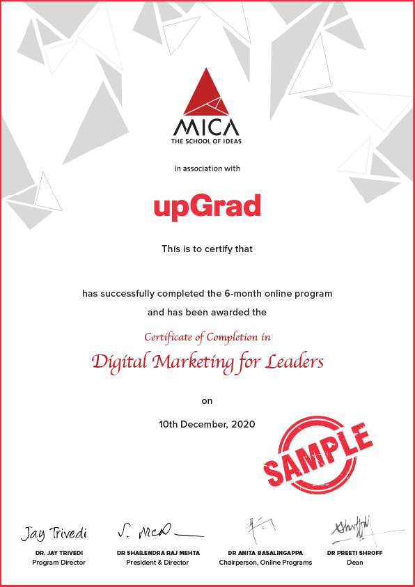 Advanced Certificate in Digital Marketing for Leaders