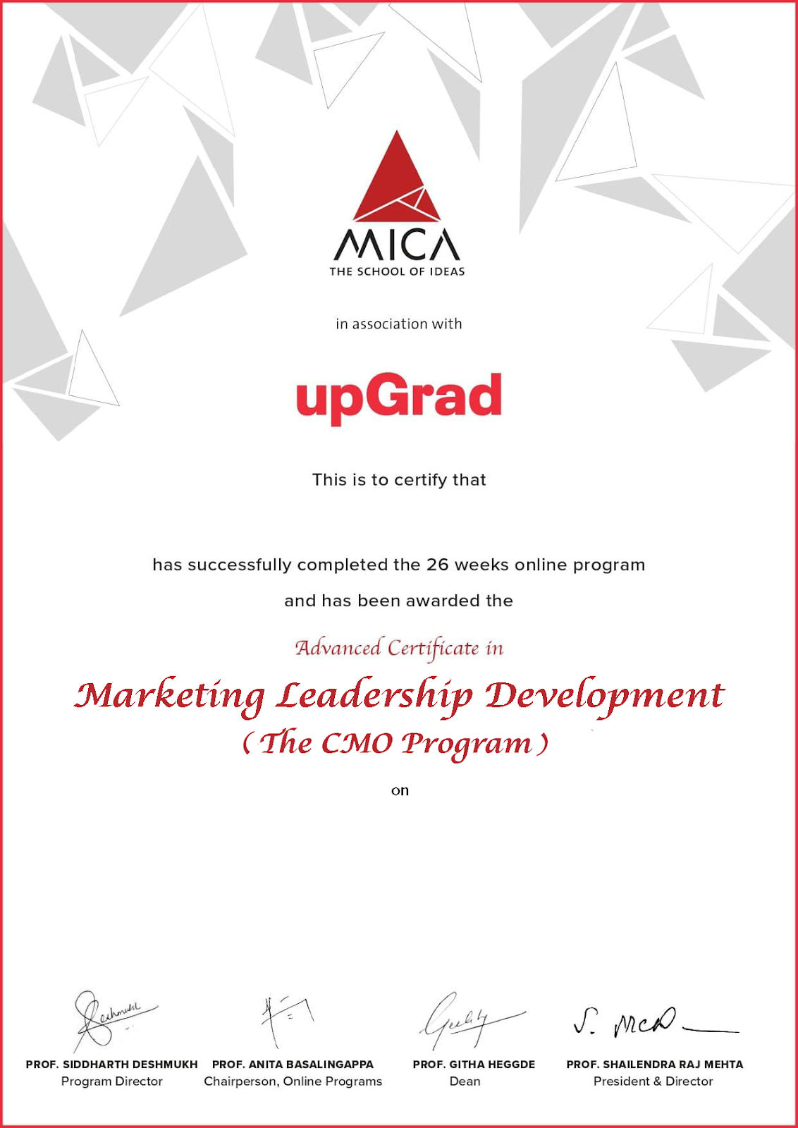 Advanced Certificate in Marketing Leadership Development  (The CMO Program)