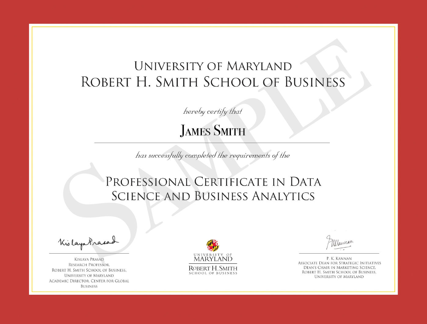 Professional Certificate Program in Data Science and Business Analytics 