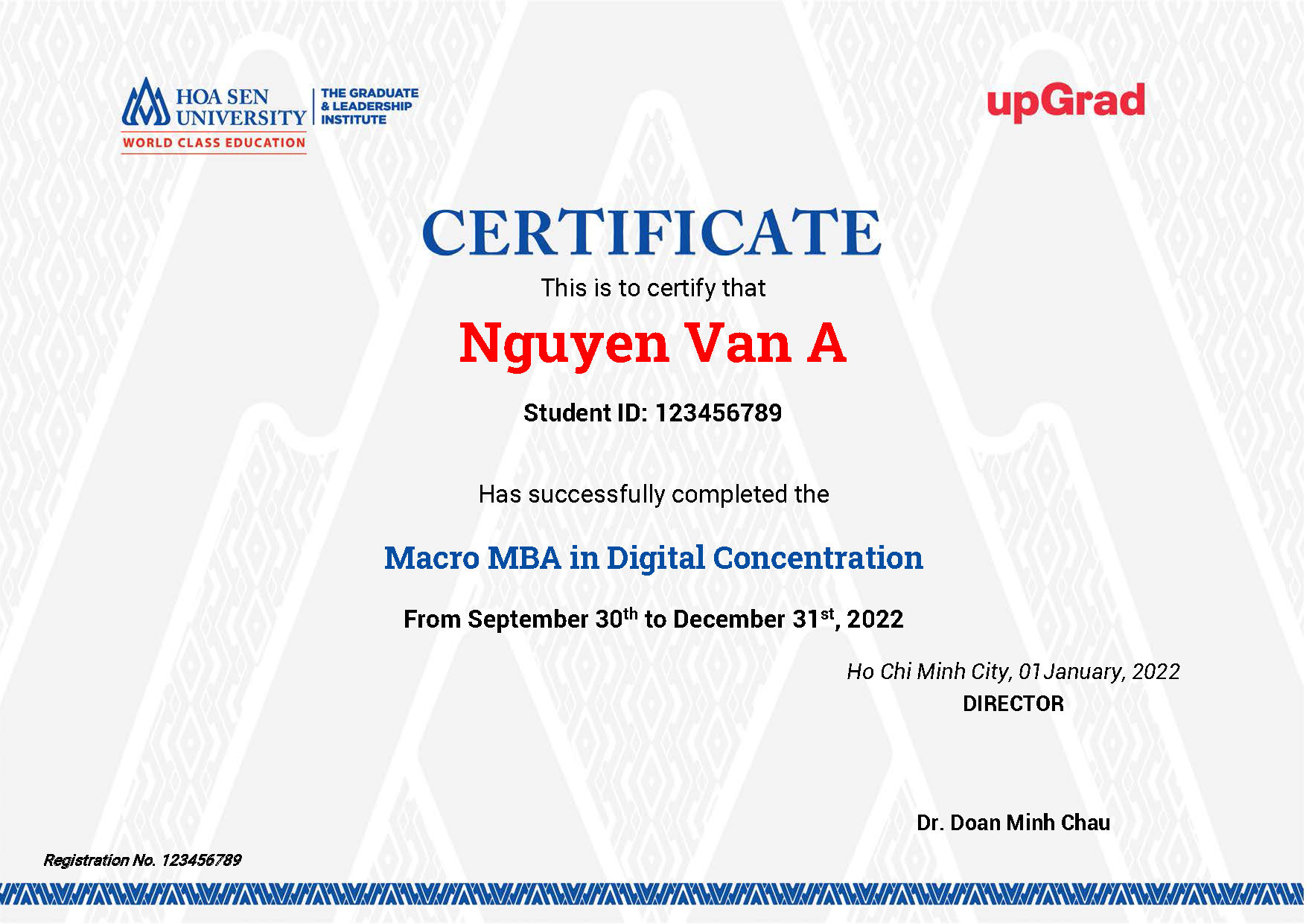 Macro MBA in Digital Concentration Program from Hoa Sen University