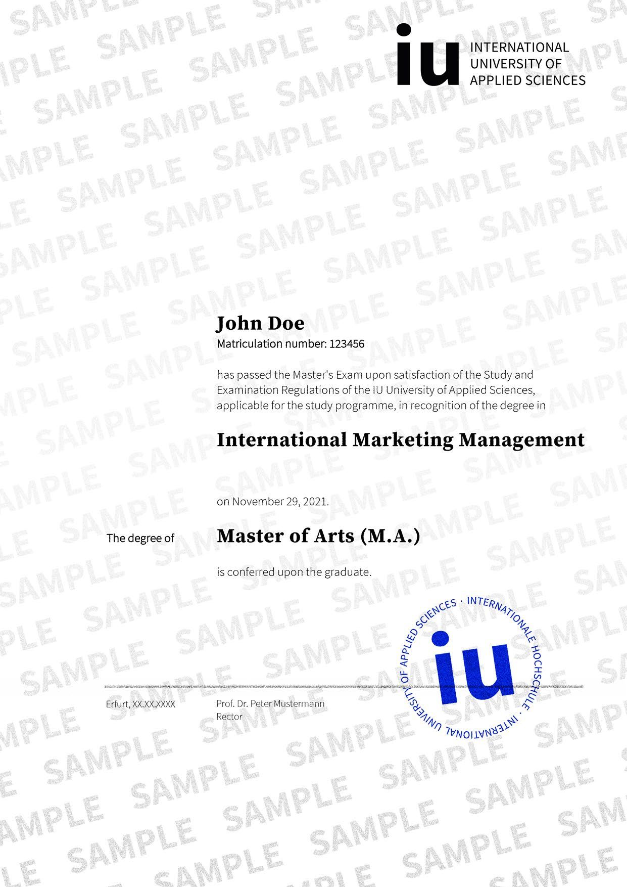 Master in International Management degree