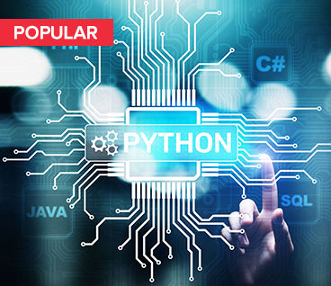 Programming with Python: Introduction for Beginners