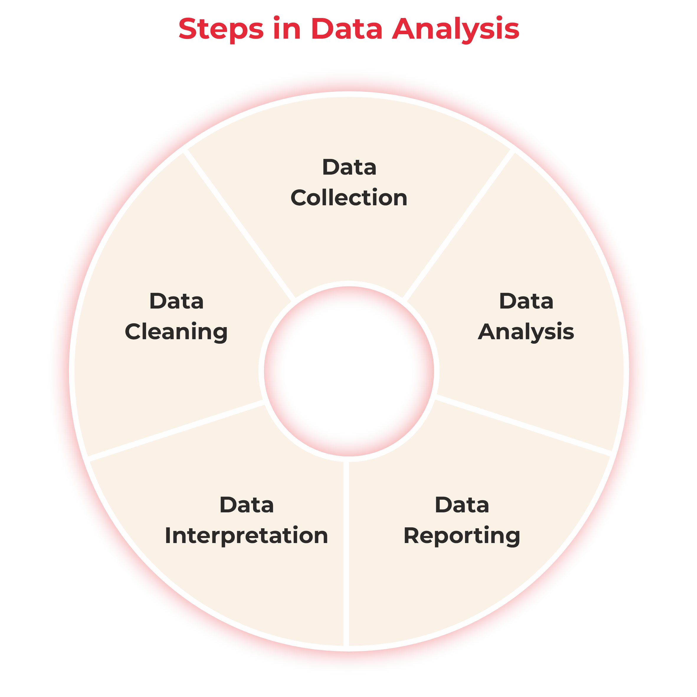 steps in data analysis