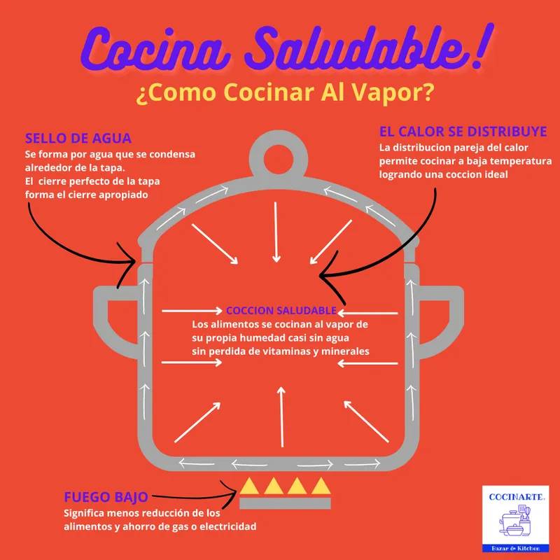 Olla Bifera 28x8 Cm. / 4 Litros. Acero Grado Quirurgico 4