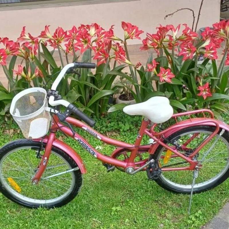 Bicicleta para Niña