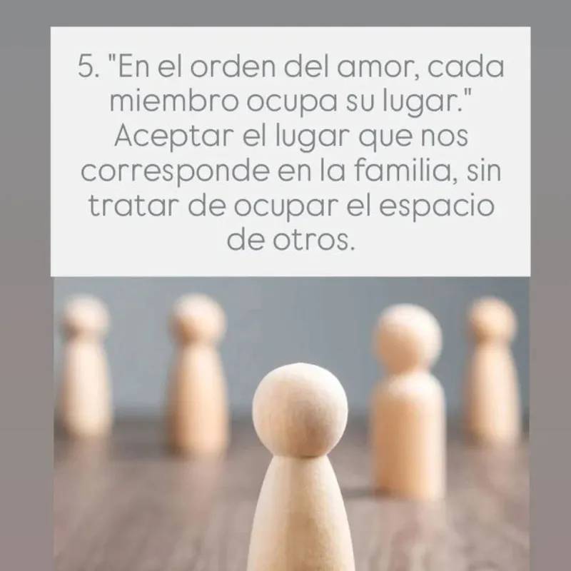 Constelaciones Familiares Sesión 1:1 2