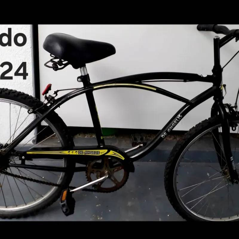 Bici Rodado 24