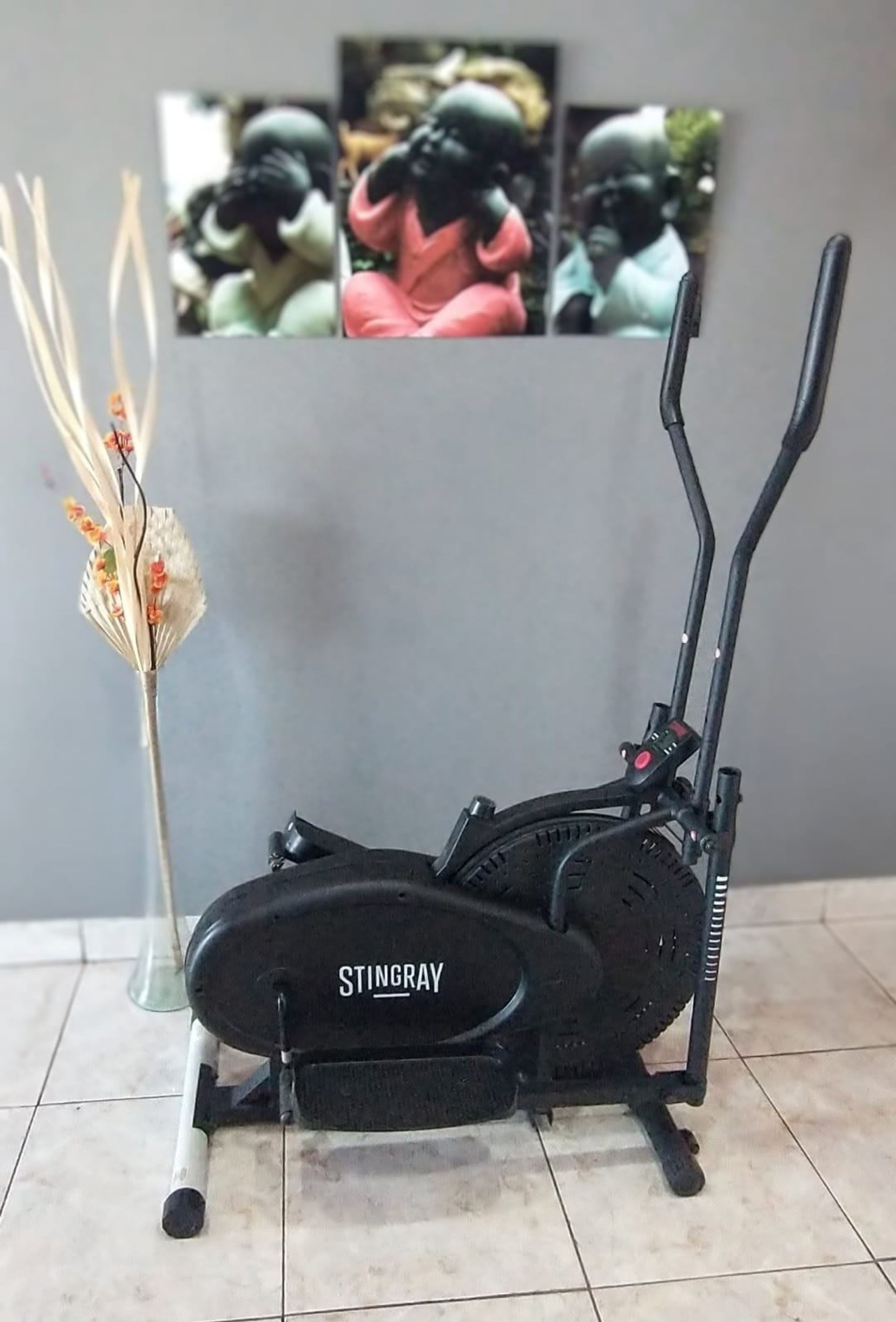 Escaladora Eliptica Stingray