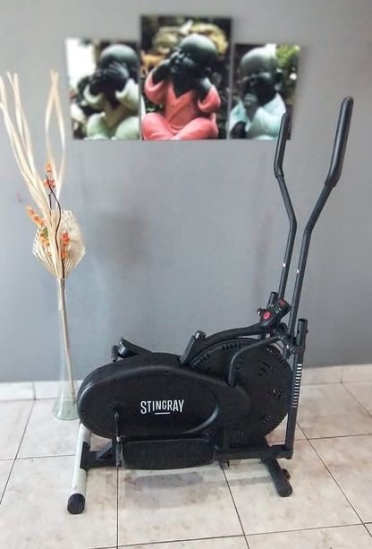 Escaladora Eliptica Stingray 1
