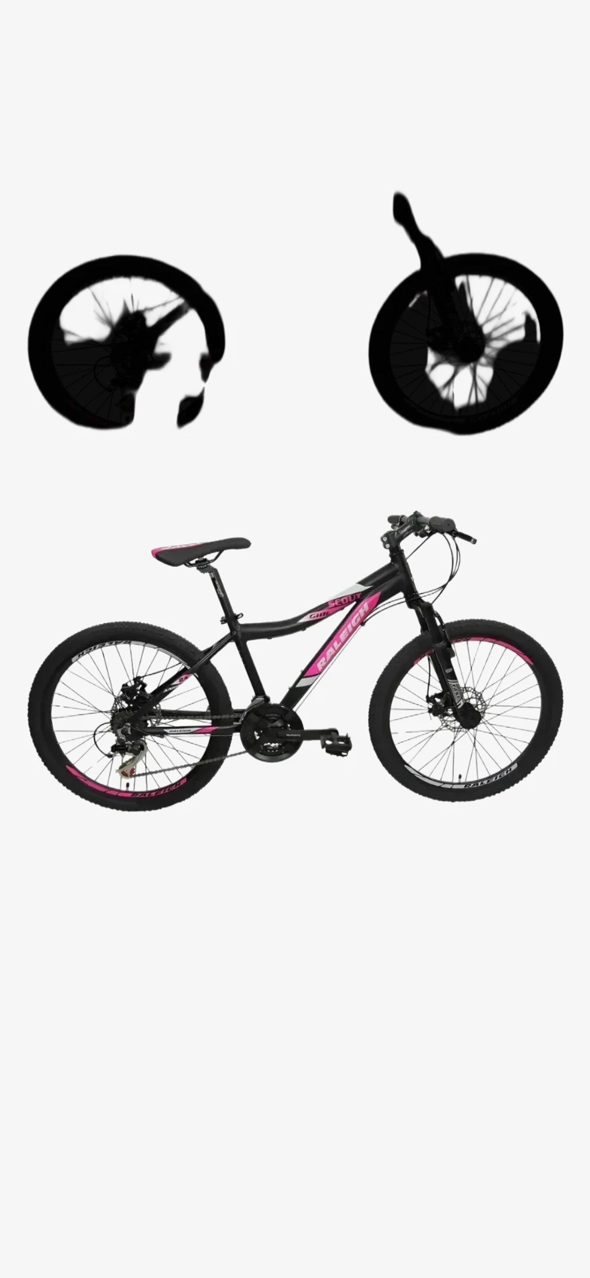 Bicicleta Realeigh