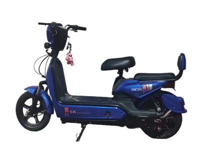Moto Eléctrica 1