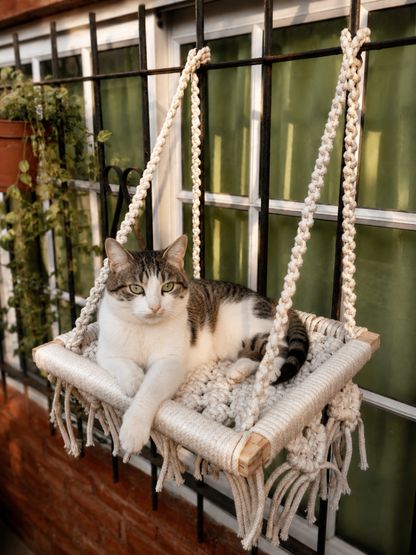 Camita Colgante para Gatos 1