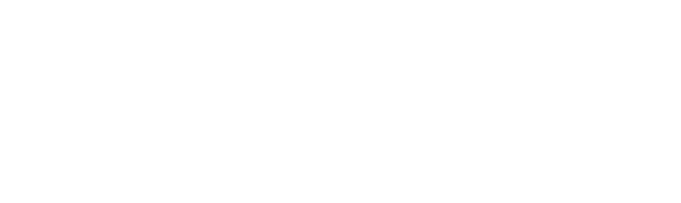El Presidente