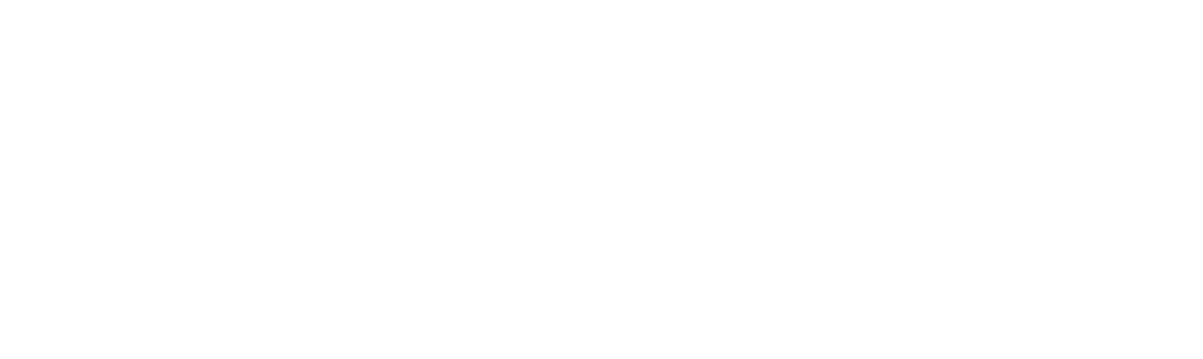 Wild Goose Tavern