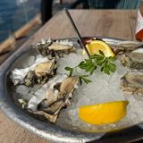 6 Oyster 1/2 Shell