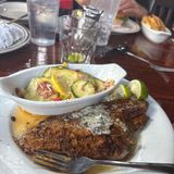 Bronze Catfish
