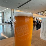 Dog Lake Pale Ale 20oz