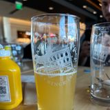 Juicy IPA 20oz