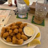 Gator Bites