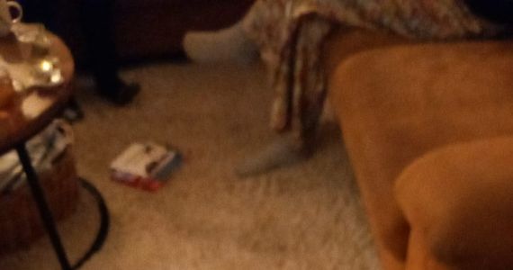 Header image