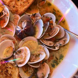 Clams