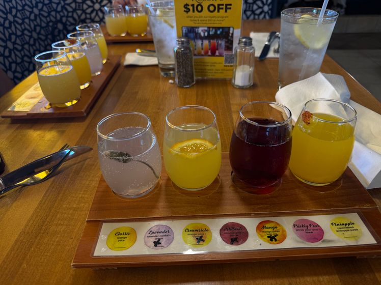 Mimosa Flight