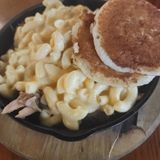 TF/PIGGY MAC