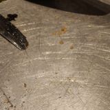 Large Great White Pizza