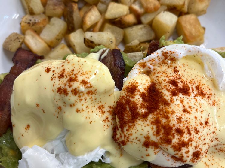 Avocado Benny