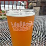 Pisgah Pale Ale Gls