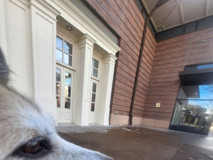 Big Ass Slice - White