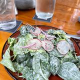 House Salad